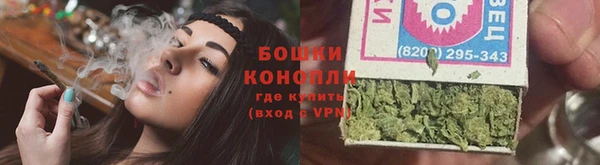 ПСИЛОЦИБИНОВЫЕ ГРИБЫ Баксан