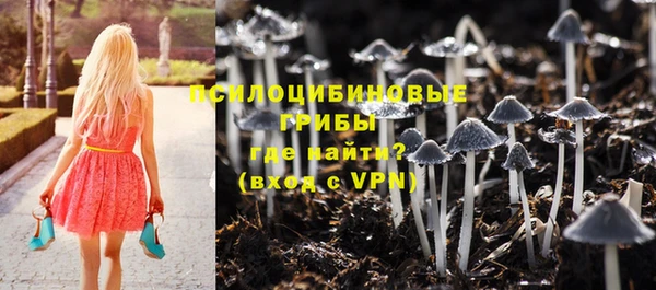 ПСИЛОЦИБИНОВЫЕ ГРИБЫ Балабаново