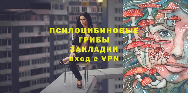 ПСИЛОЦИБИНОВЫЕ ГРИБЫ Балабаново