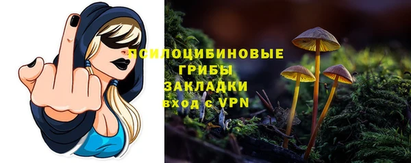ПСИЛОЦИБИНОВЫЕ ГРИБЫ Балабаново